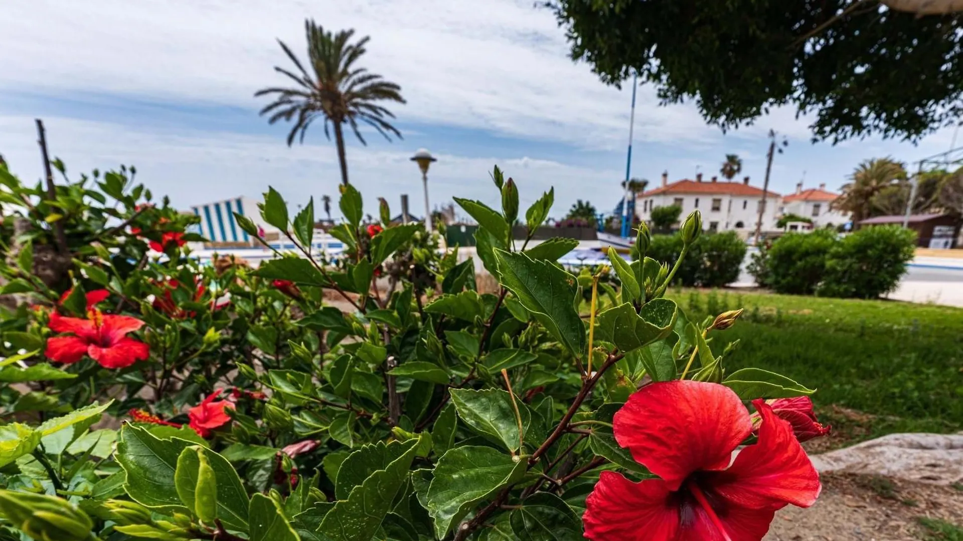 Seaside Serenity Apartment Torre Del Mar